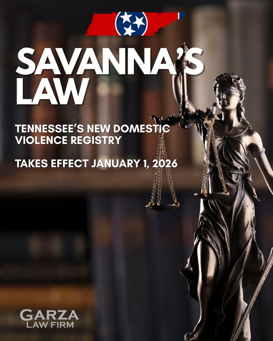 Savanna's Law FAQs